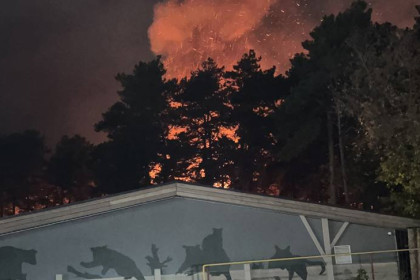 Пожар вспыхнул в зоопарке Новосибирска: МЧС ликвидирует возгорание