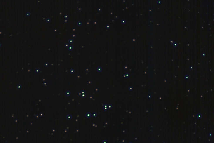 Звезды на расстоянии 577 световых лет от Земли снял новосибирец