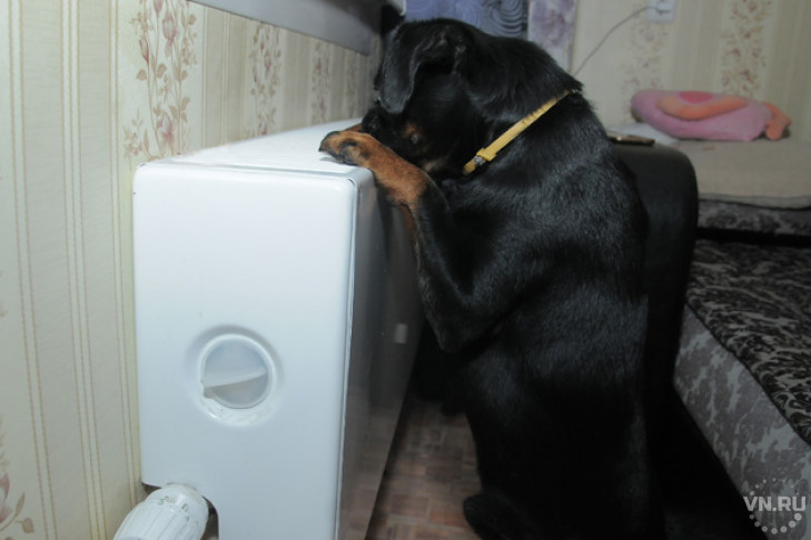 В квартирах становится теплее…