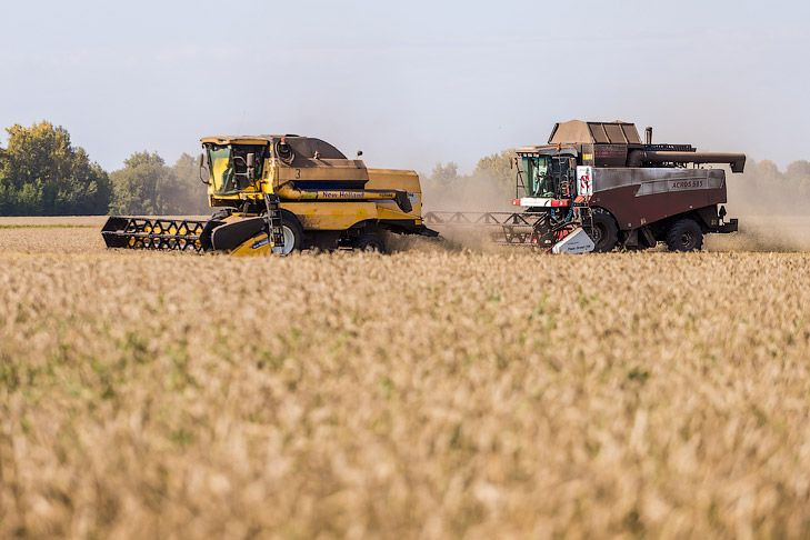 ВТБ нарастил кредитный портфель в АПК до 499 млрд рублей