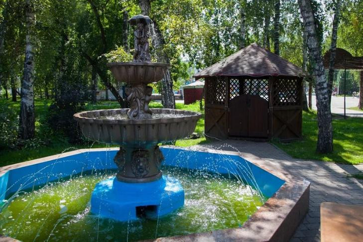 Сорок восемь детей не попали в «Лесную сказку» под Новосибирском