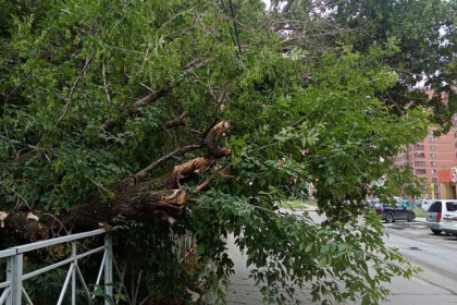 Ураган оставил без электричества более 25 тысяч жителей Новосибирской области