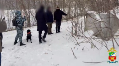 В Новосибирске поймали курьера с галюциногенными грибами