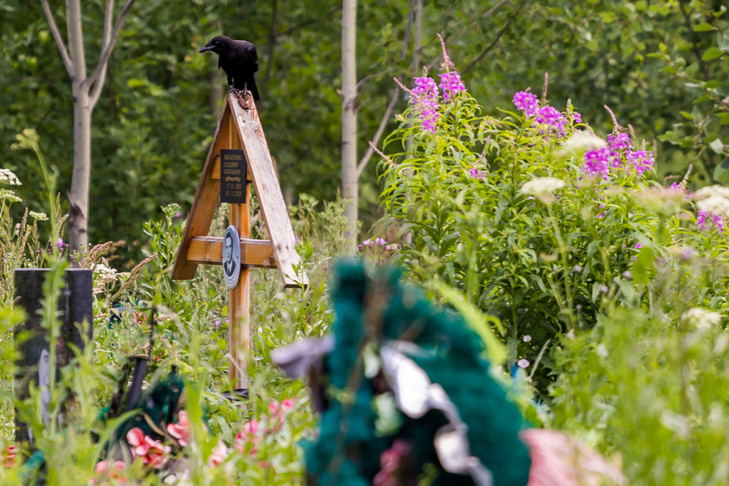 Новосибирца оштрафовали за обман покойников на кладбище