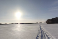 Более миллиона земельных участков переоценят в Новосибирской области
