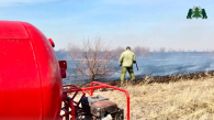44 лесных пожара произошло в Новосибирской области с начала сезона