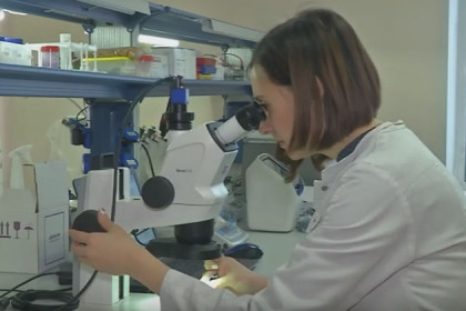 Иммунитет вредных насекомых исследует лаборатория
