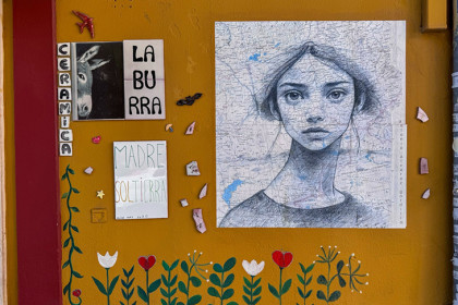 Красавица со словом «Новосибирск» на лбу восхитила жителей испанской Севильи