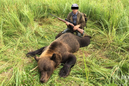 300 тысяч за селфи с мертвым медведем заплатил браконьер из Оби