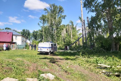 Люлька с рабочими рухнула во время рубки деревьев в Коченевском районе 