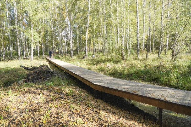 Сдачу парка «Каменка» в Новосибирске перенесут на следующий год из-за ошибок в проекте