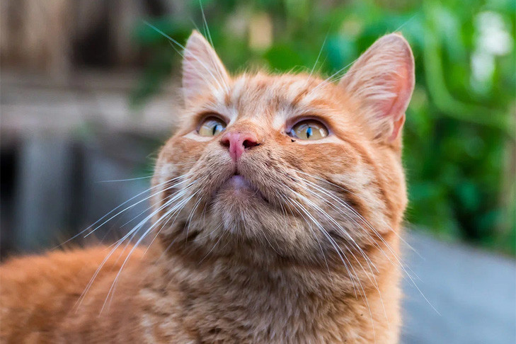 Июньская жара: опубликован прогноз погоды на май-2025 в Новосибирске