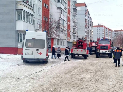 Огнеборцы спасли шесть человек на пожарах в Новосибирской области