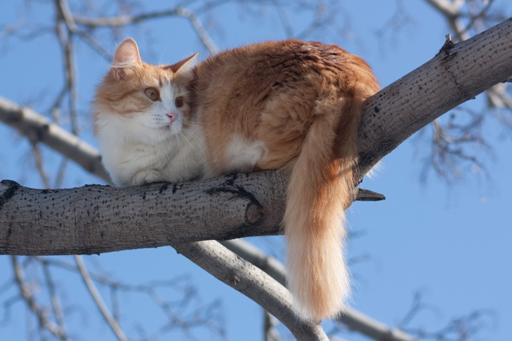 Прогноз погоды на 27-28 сентября в Новосибирске сделали синоптики