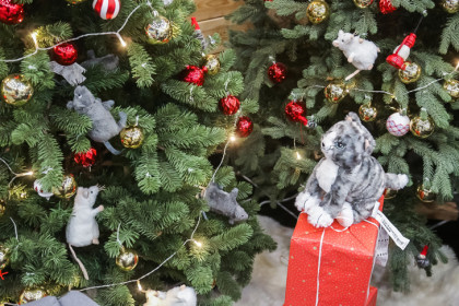 От снеговиков до крыс: новосибирцы начали избавляться от новогодних подарков