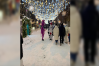 Мэрия обратилась в полицию из-за аниматоров на улице Ленина в Новосибирске