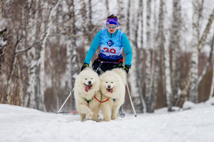Новосибирцам предрекли холодное начало весны-2026 и поздний сезон цветения