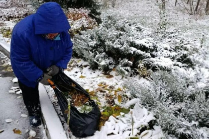 Клумбы в парках Новосибирска готовят к зимовке
