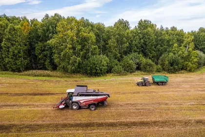 Первый млн тонн зерна намолотили в полях Новосибирской области осенью-2025