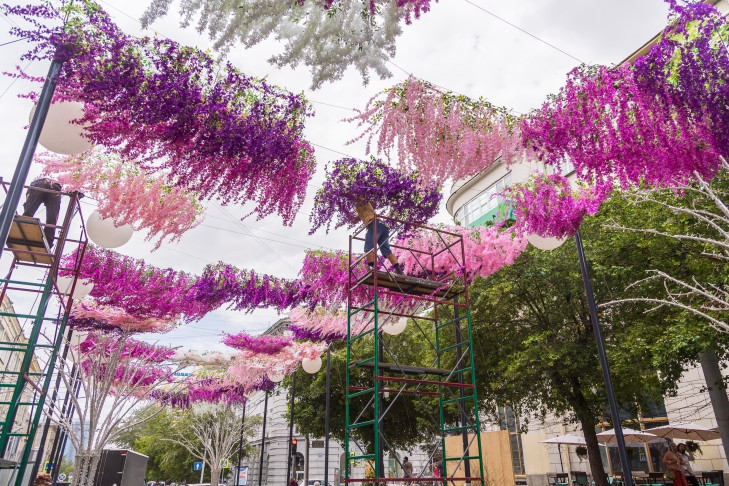 Огромную партию цветов доставили в Новосибирск для украшения улицы Ленина