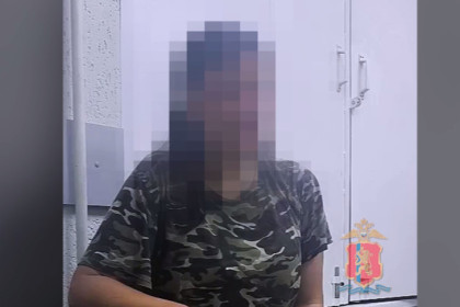 Умные камеры нашли убийцу 5-летней девочки в ТРЦ Новосибирска