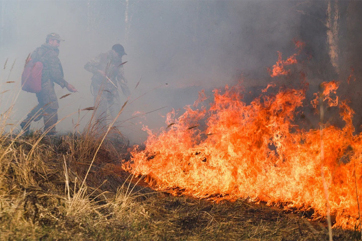 Губернатор поручил усилить профилактическую противопожарную работу в преддверии майских праздников