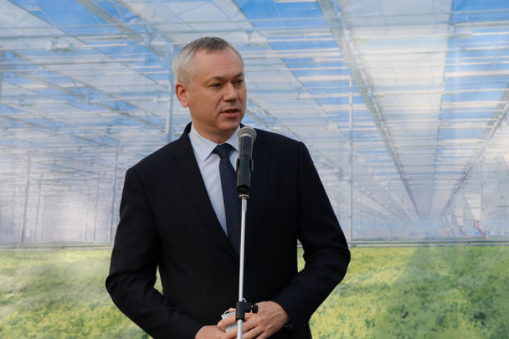 Губернатор Андрей Травников открыл новый тепличный комплекс в Новосибирском районе