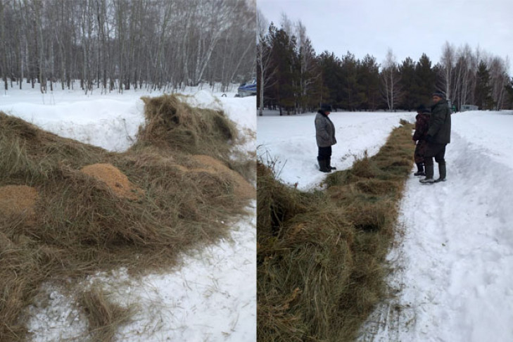 Голодных косуль подкармливают охотники в Карасукском районе