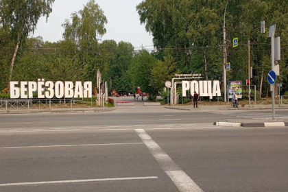 Дети пожаловались: двух мужчин избили в «Березовой роще» Новосибирска
