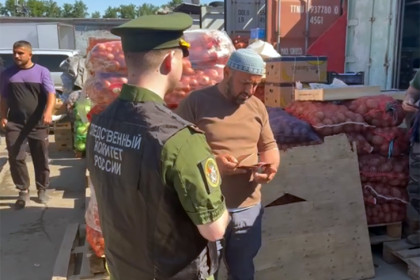 Мигранты прятались от силовиков в новом урожае картошки на рынке «Левобережный»
