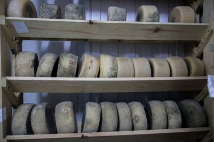 Сыр с кофе и черемухой: чем удивляют сыровары в Новосибирске