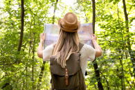 Туристический налог пополнил бюджеты муниципалитетов Новосибирской области