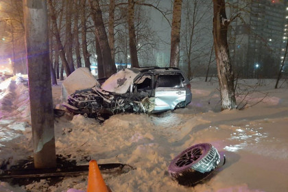 Водитель Subaru погиб после столкновения со столбом и деревом в Новосибирске