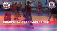 Мастерский турнир по самбо пройдёт в Новосибирской области