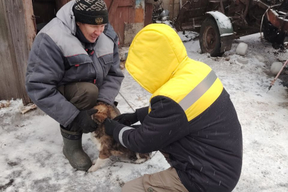 В Усть-Тарке прошла массовая вакцинация домашних животных от бешенства