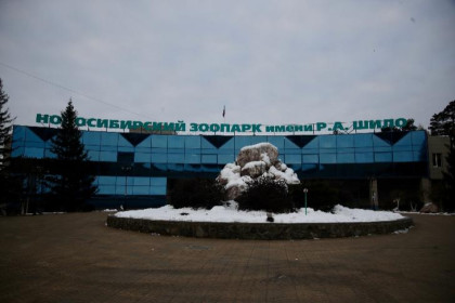 Стоимость билетов изменилась в Новосибирском зоопарке: новые тарифы