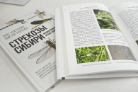 Новосибирские учёные выпустили иллюстрированный атлас «Стрекозы Сибири»