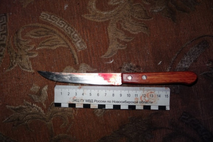 Сын зарезал отца под Новосибирском во время застолья