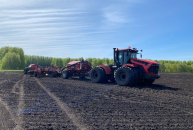 Регионам Сибири поручено актуализировать планы по посевным площадям