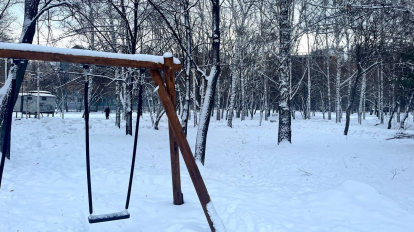 Синоптики опубликовали прогноз погоды на новогоднюю ночь в Новосибирске