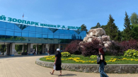 Новосибирский зоопарк отметит 79-летие
