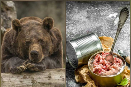 Новосибирцы чуть не съели мясо неубитого медведя
