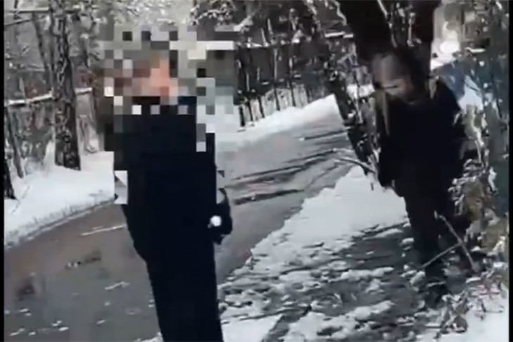 Школьники забрасывают лобовые стекла автобусов снежками в Краснообске