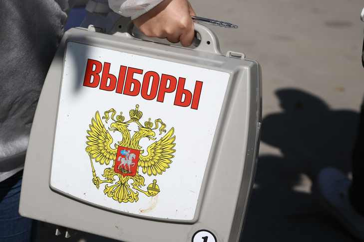 Известные жители Новосибирской области объясняют выбор дистанционного способа голосования удобством процедуры