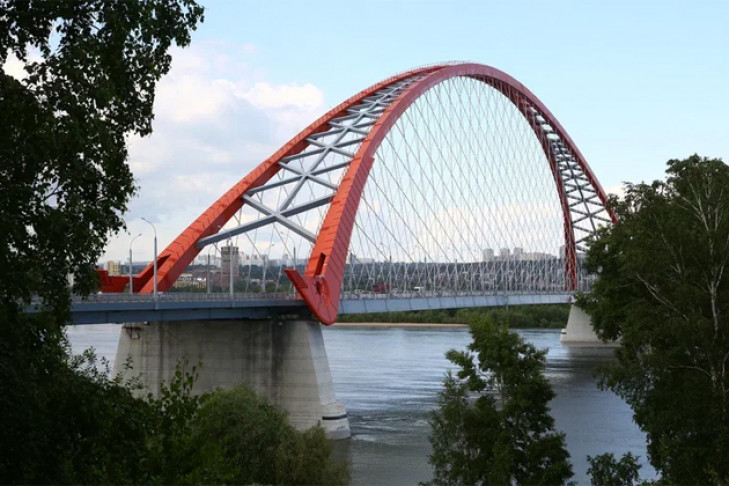 Бугринский мост будут охранять с электрошоками и резиновыми палками