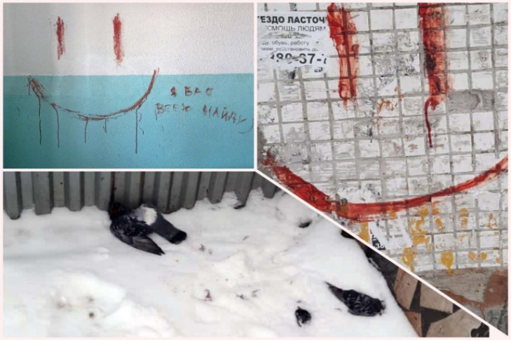 Убийца голубей в Новосибирске может оказаться маньяком