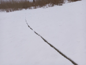 Крещенских купаний в проруби в реке Омь в Куйбышеве не будет