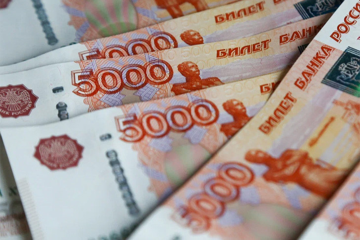 Более 8 миллионов вернут в бюджет после аферы с маткапиталом под Новосибирском