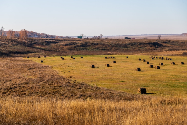 За облаками, радугой и пчелами советует следить Самсон-сеногной 10 июля