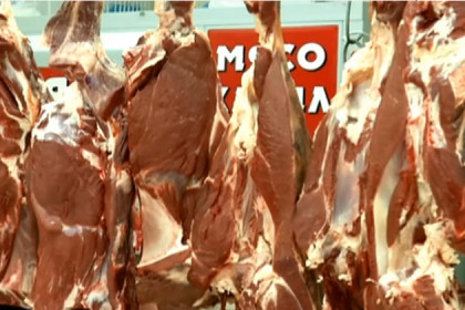 Контроль за ввозом мяса усилен из-за сибирской язвы у оленей на Ямале
